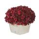 Option Burgundy