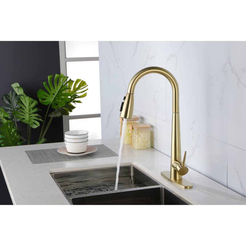 Single Handle Stainless Steel Kitchen Sink Faucet with Pull Down Sprayer