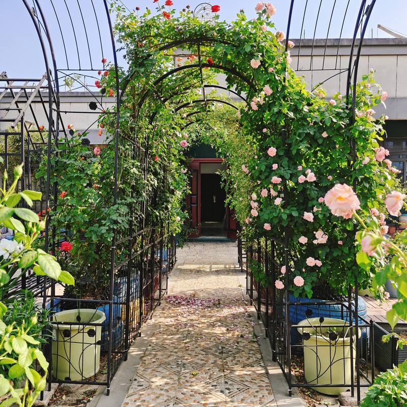 Metal Garden Arch with two plant stands 79.5'' Wide x 86.6'' High Climbing Plants Support Rose Arch Outdoor