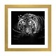 preview thumbnail 4 of 18, iCanvas "Tiger In Water, Black & White" by Lukas Holas PFA Gold - 16x16x1