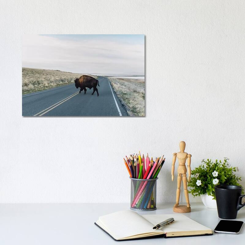 iCanvas "Buffalo Bison" by Chelsea Victoria Canvas Print - 8x12x0.75