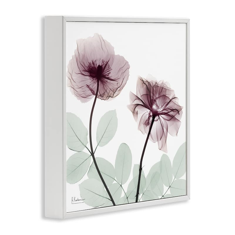 Stupell Delicate Floral Bunches Framed Giclee Art Design By Albert Koetsier
