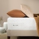 preview thumbnail 1 of 6, Priage by ZINUS 12 Inch Bliss Memory Foam Mattress
