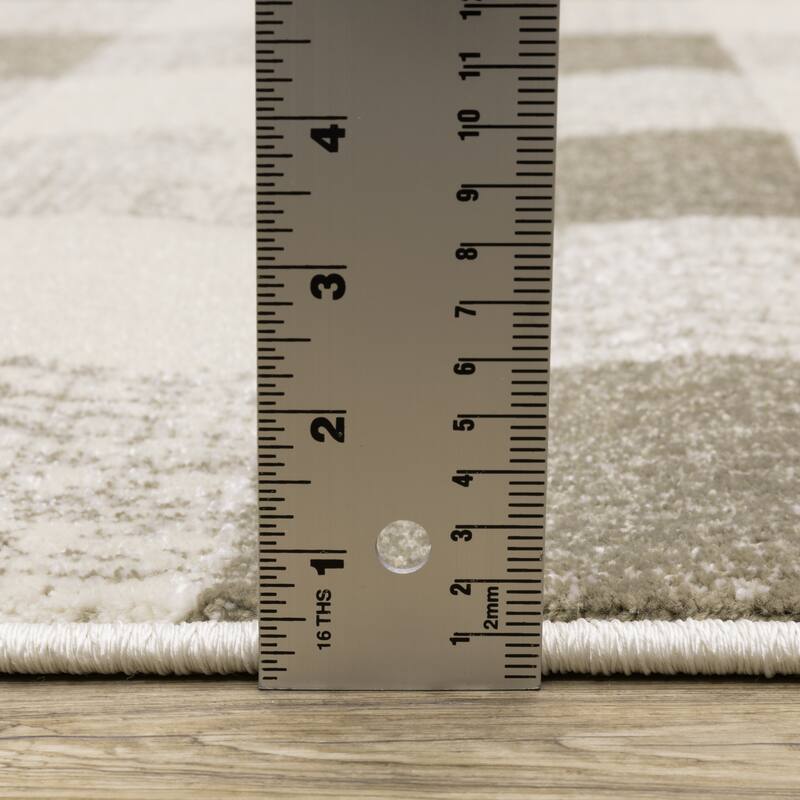 Arwen Distressed Gingham Plaid Area Rug