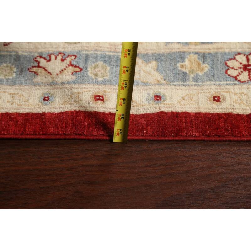 Vegetable Dye Floral Ziegler Oriental Wool Area Rug Handmade Carpet - 10'1" x 13'8"