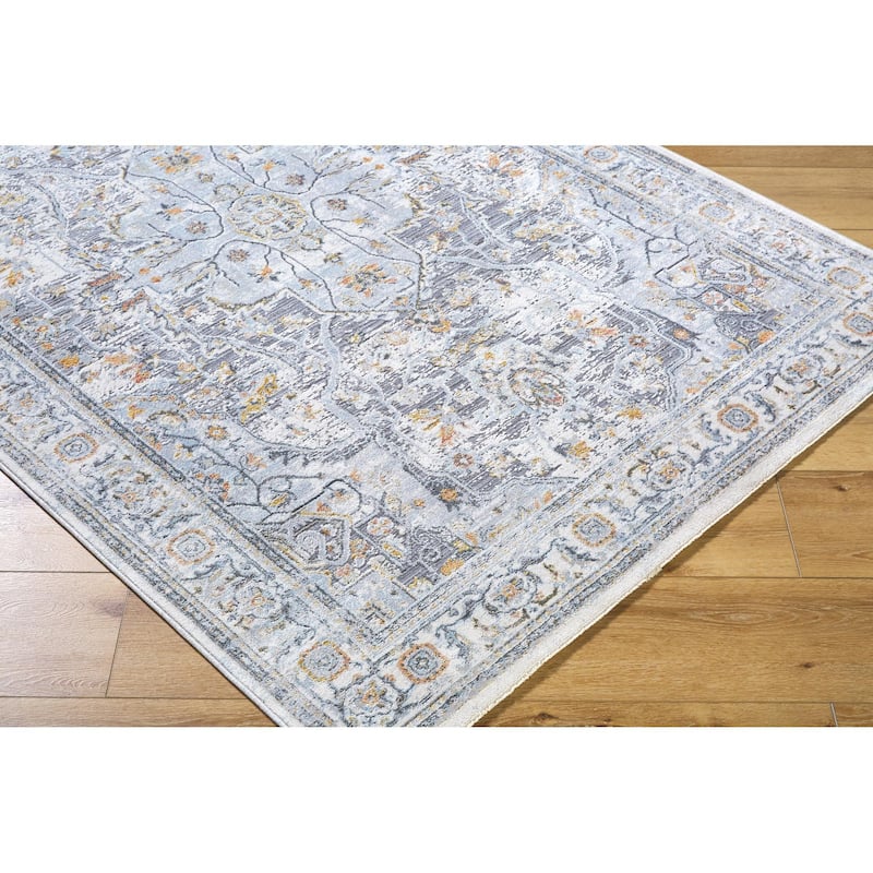 Livabliss Hassler Traditional Medallion Area Rug