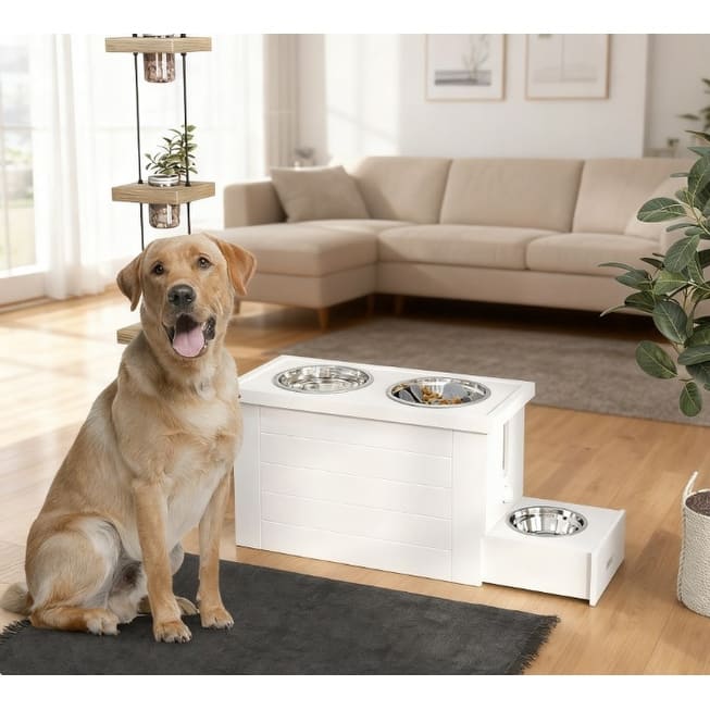 Pet Bowls with Slow Feeder Mat