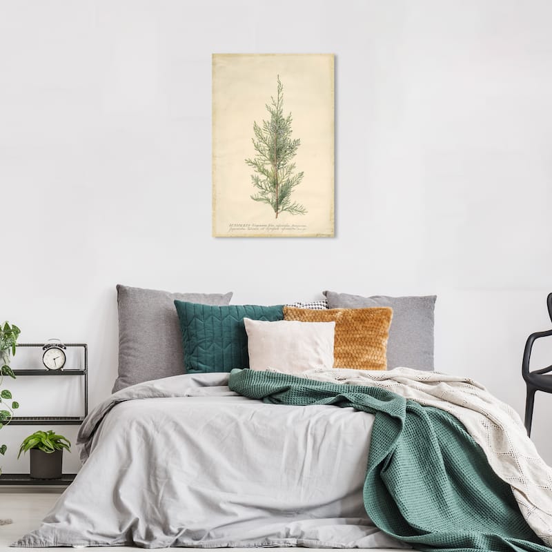 Wynwood Studio Canvas Floral and Botanical Juniper Green and Dark Green Traditional Wall Art Canvas Print - 24 x 36