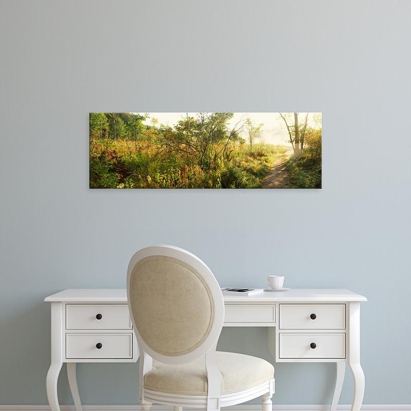 Easy Art Prints Panoramic Images's 'Footpath passing through a forest, Pokagon State Park, Indiana, USA' Canvas Art