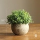 preview thumbnail 4 of 6, RusticReach Artificial Boxwood Topiary in Various Designs