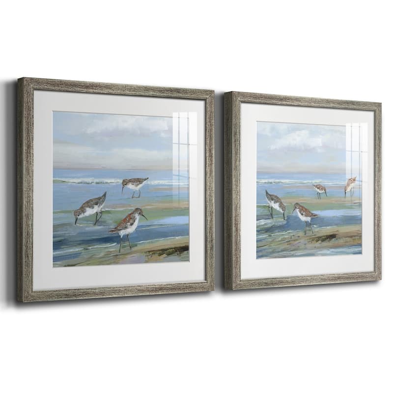 Seabird Beach I- Premium Framed Print - Ready to Hang