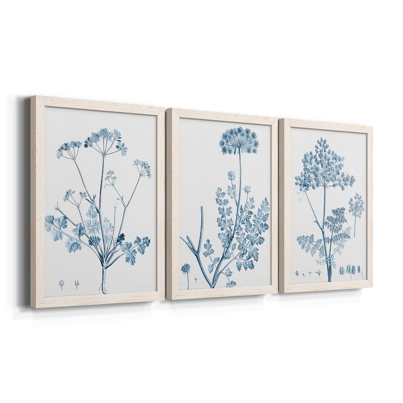 Antique Botanical in Blue IV-Premium Framed Canvas - Ready to Hang - Multi-Color