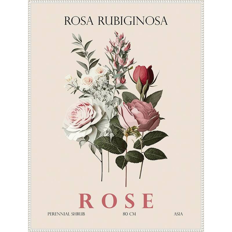 Vintage Botanical Rose Illustration by Christopher Giampietro Framed Canvas Wall Art Print