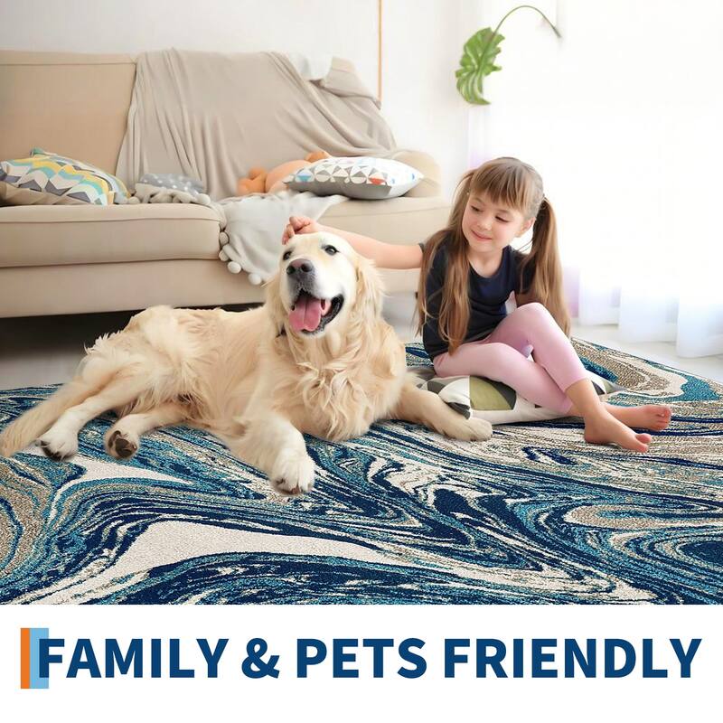 Washable Area Rugs for Living Room, Soft Modern Abstract Rug Non Slip Low Profile Carpets for Bedroom Dining Room