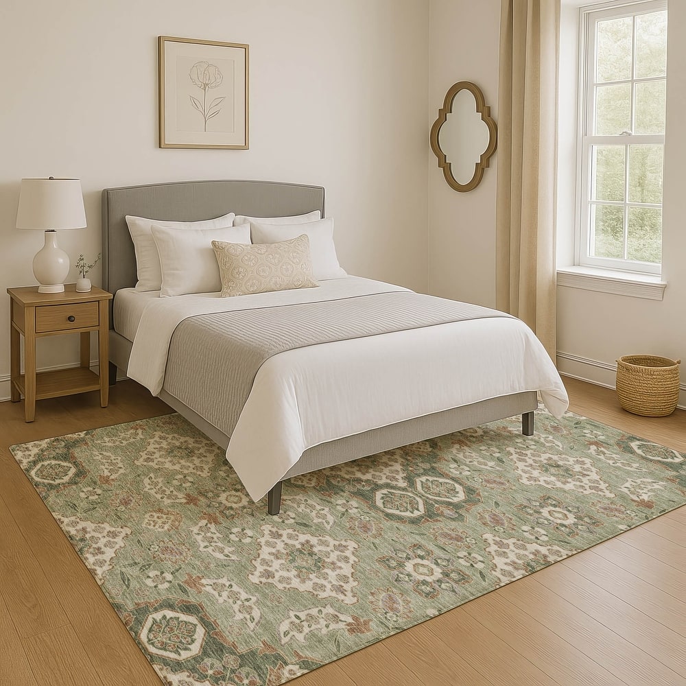 Premium Washable Super Soft Classic Traditional Mayfield Rug