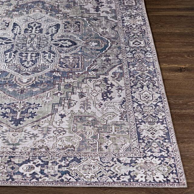Adenia Vintage Medallion Printed Area Rug