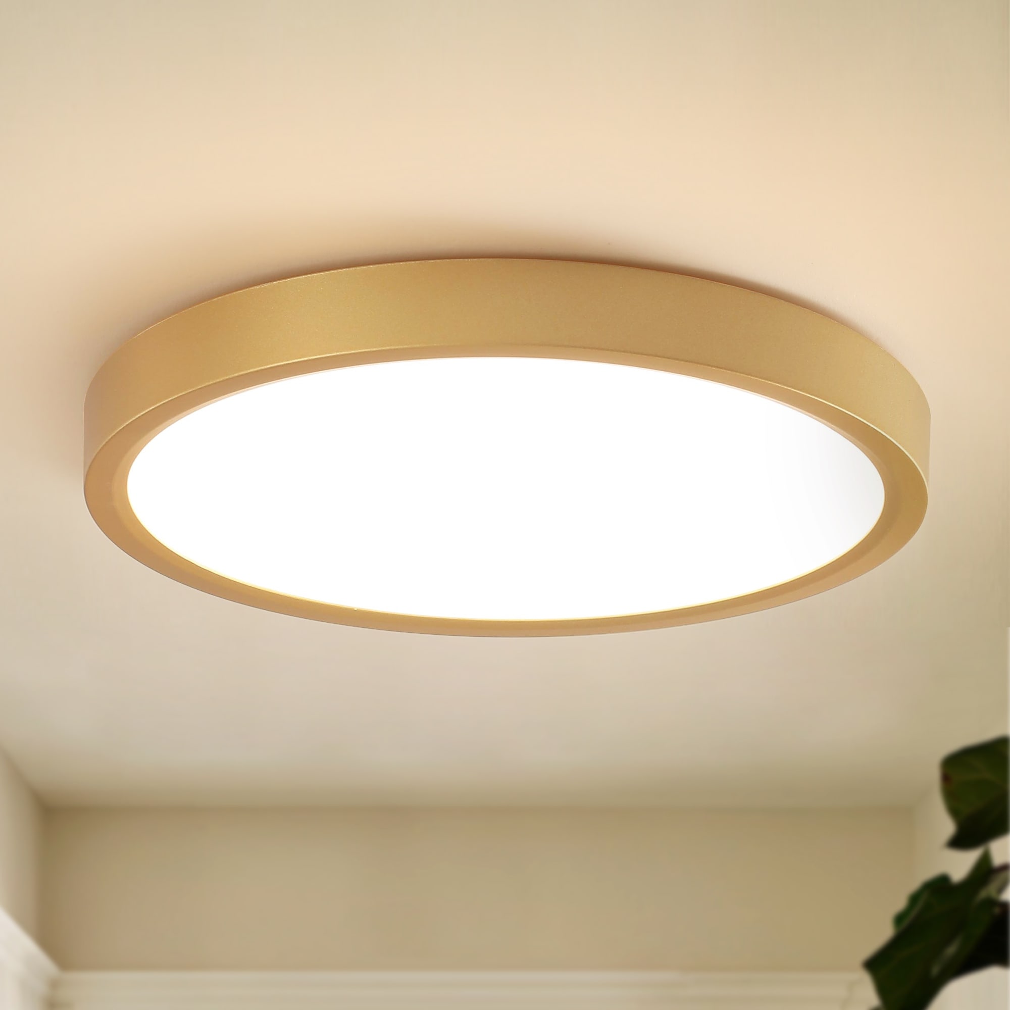 Modern 9.06-inch Round LED Flush Mount Ceiling Lighting for Hallway Bedroom