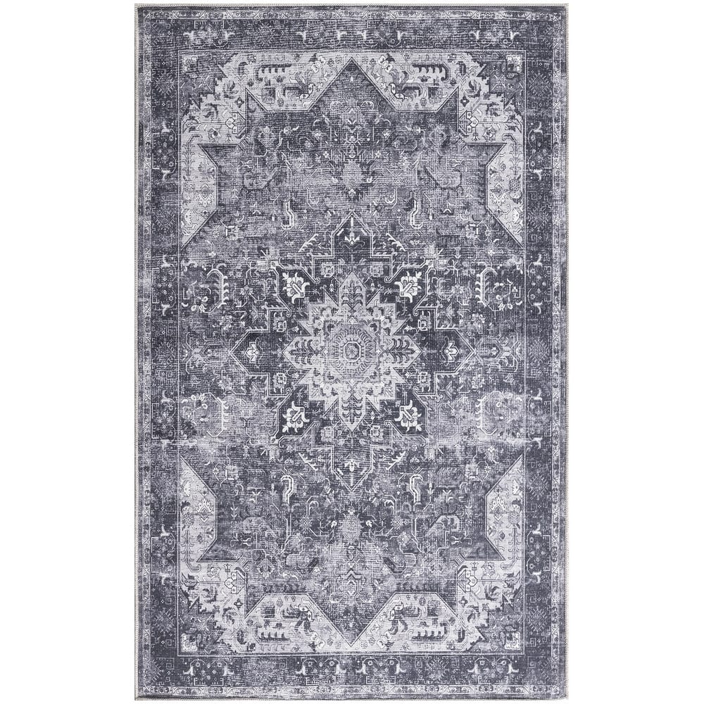 Nourison Washables Indoor only Persian Area Rug