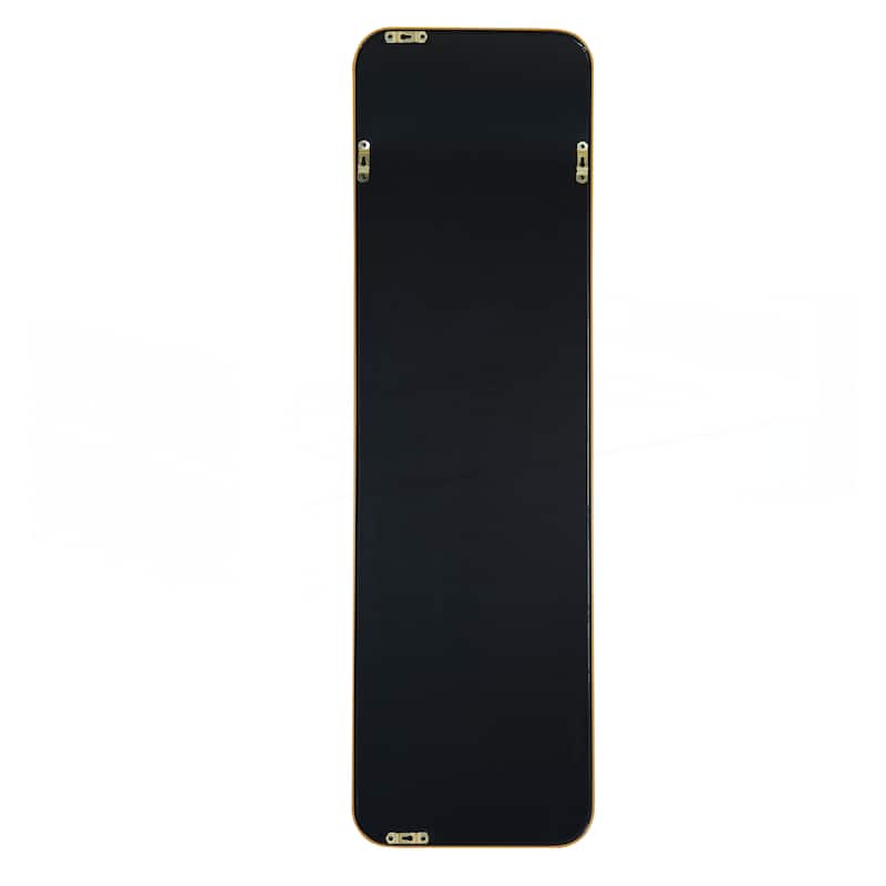 47 x 14IN Door mirror