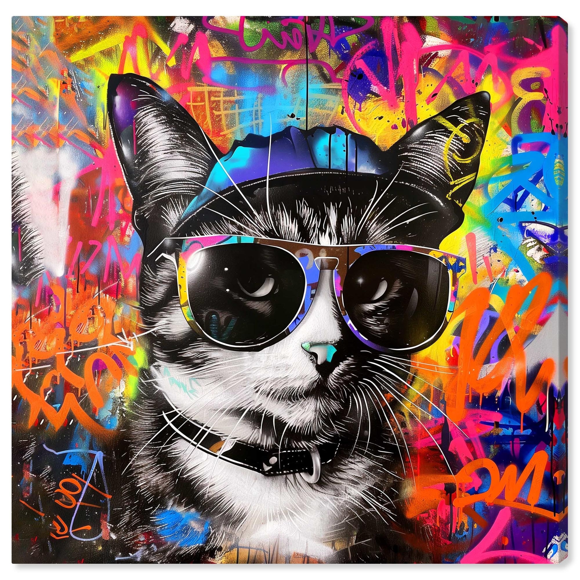 激レア!シャムキャッツ『VIRGIN GRAFFITI』summer eye Jazz Cats