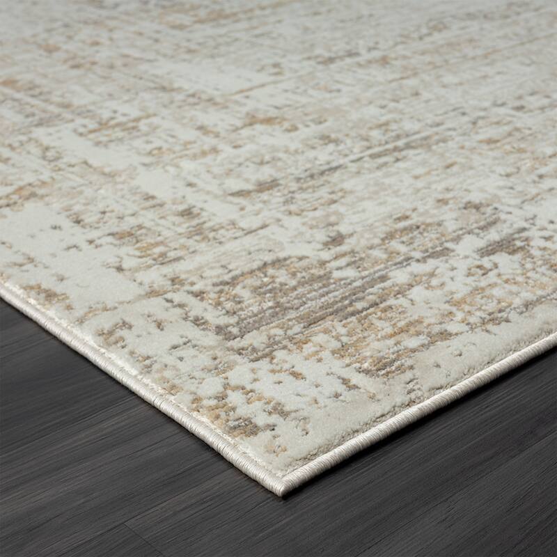 Teji Distressed Abstract Area Rug By HomeRoots - 4' x 6'