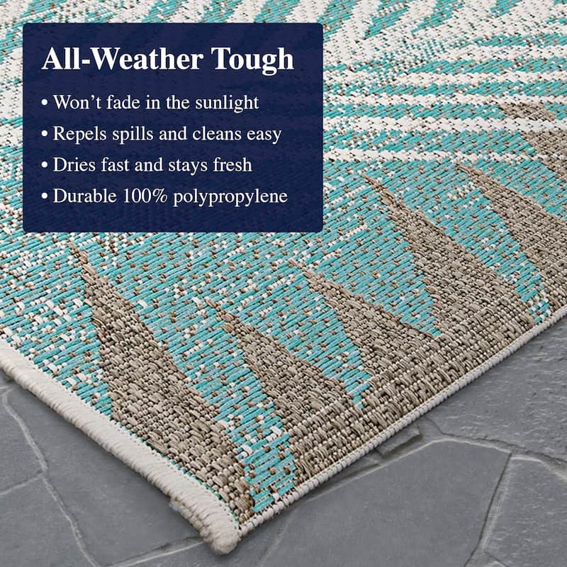 Dream Decor Rugs Samantha Coconut Creek Indoor Outdoor Area Rug