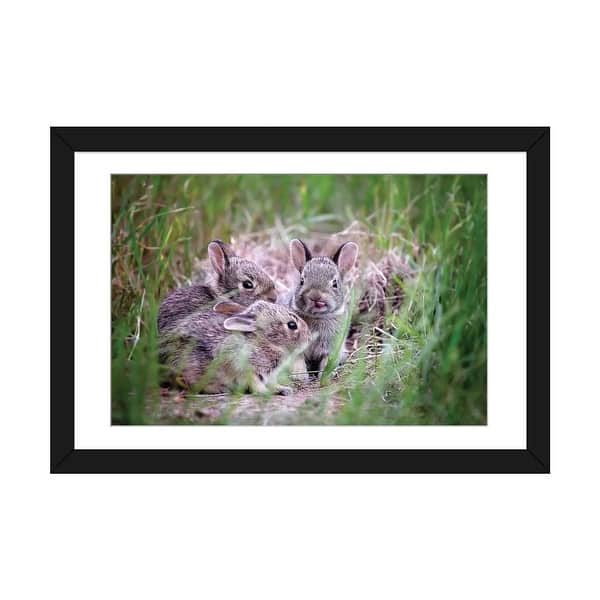 slide 2 of 15, iCanvas "Baby Bunnies" by Karen Burke