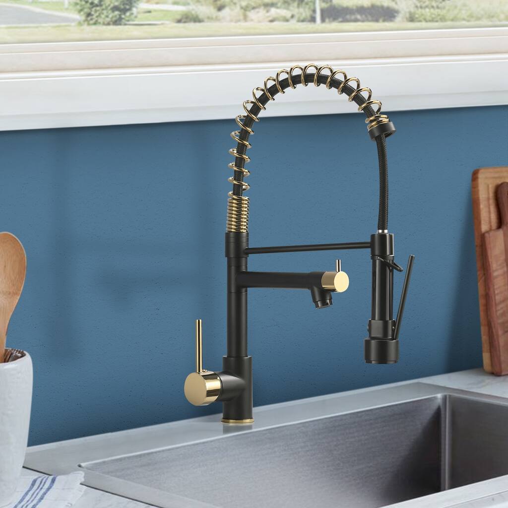 Topcraft Pull-down kitchen Faucet with Dual Sprayers