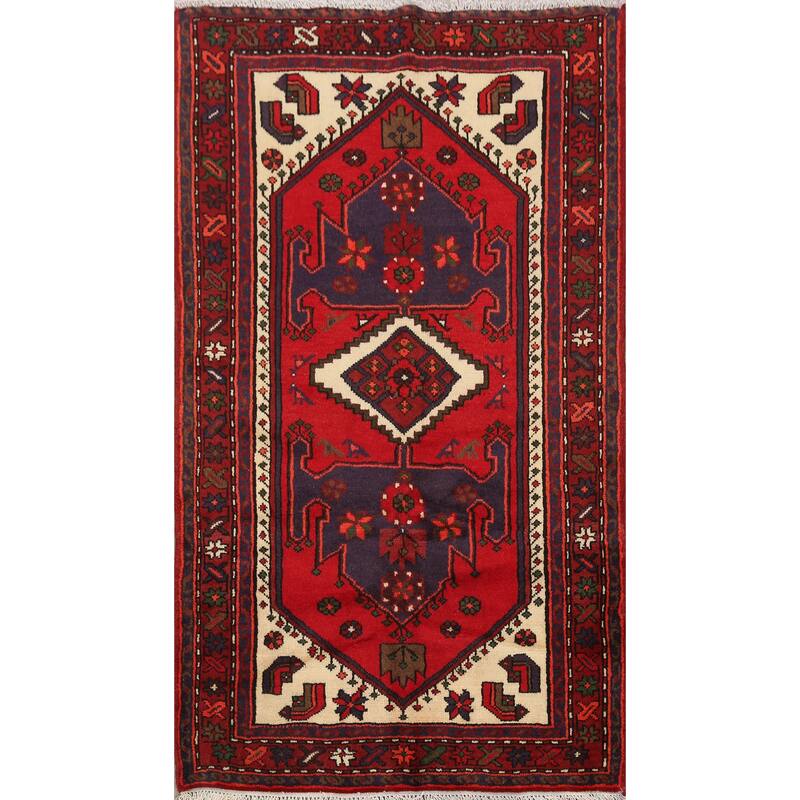 Tribal Traditional Hamedan Persian Area Rug Wool Hand-knotted Carpet - 3'4" x 4'7"