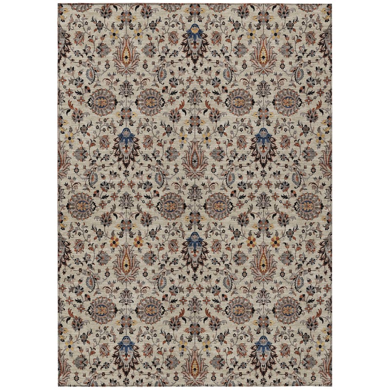 Machine Washable Indoor/Outdoor Traditional Persian Chantille Rug