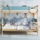 preview thumbnail 17 of 22, Costway Twin Over Twin Bunk Bed Solid Wood Bed Frame with Ladder