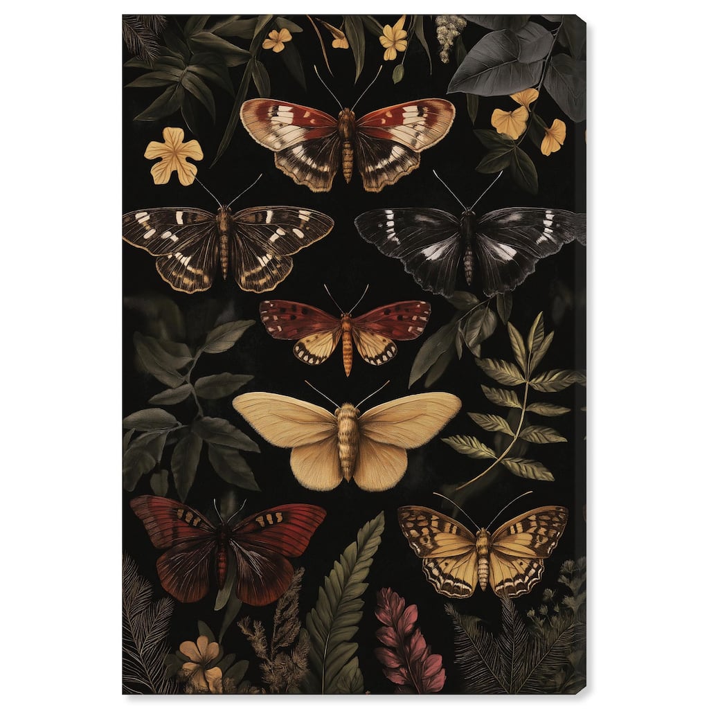 Winged Visitors III Canvas by Art Remedy, Gallery Wrapped