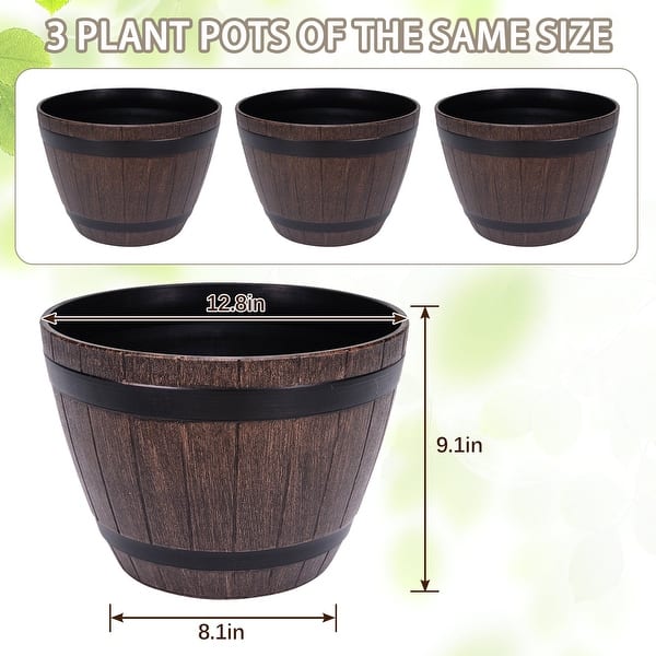 money tree pawn The Snobby Leaf | Money Tree 'Guiana Chestnut' Pachira Braid - 6 inch Pot