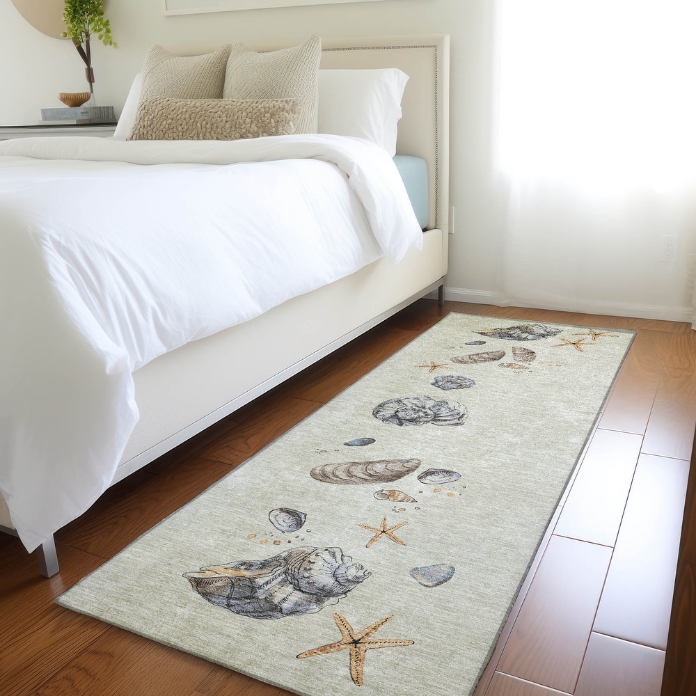 Premium Washable Super Soft Coastal Shell Border Mayfield Rug