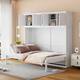 Option White