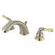 Option Brushed Nickel/Polished Brass