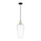 Option Black Antique Brass / Clear Deco Swirl