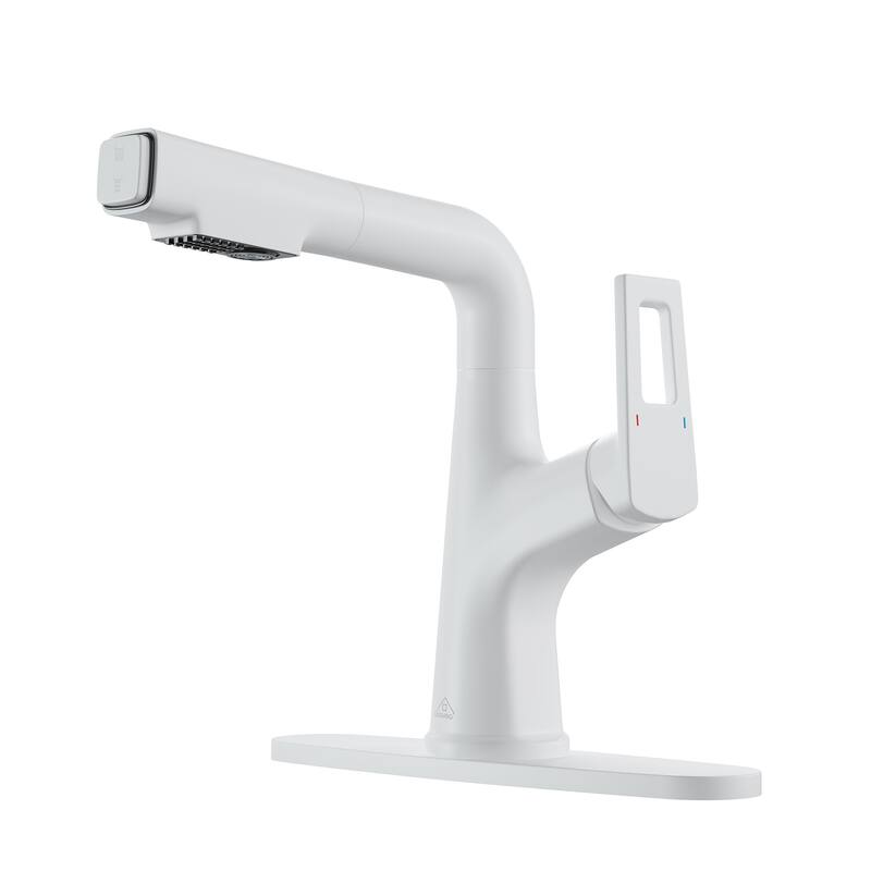 Single Handle Pull Out Sprayer Kitchen Faucet with Advanced Spray