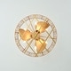 preview thumbnail 14 of 15, Clemente 24-inch Matte Gold 6 Lights 3 Blades Lighted Ceiling Fan with Remote
