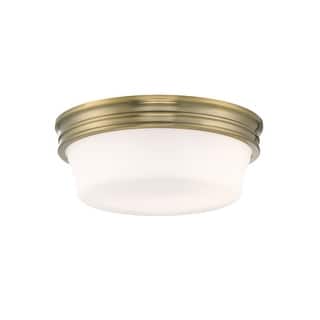 Elk Home Galen Glass Flush Mount Ceiling Light - Antique Brass