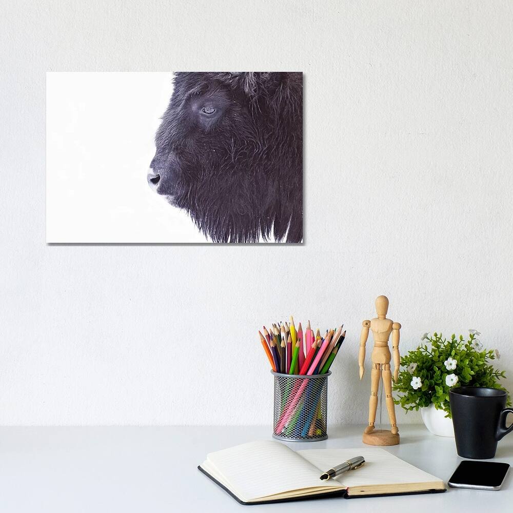 iCanvas "Black Buffalo Portrait" by Monika Strigel Canvas Print