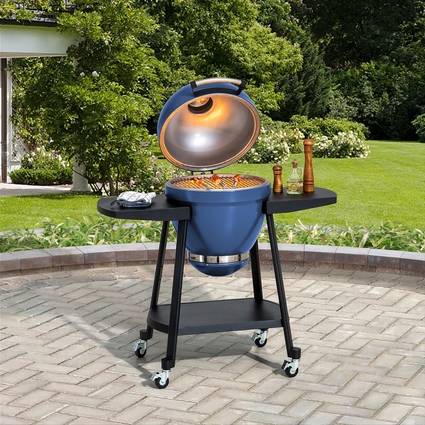 Sunjoy Kamado-Style Egg Charcoal Grill - Bed Bath & Beyond - 39687509