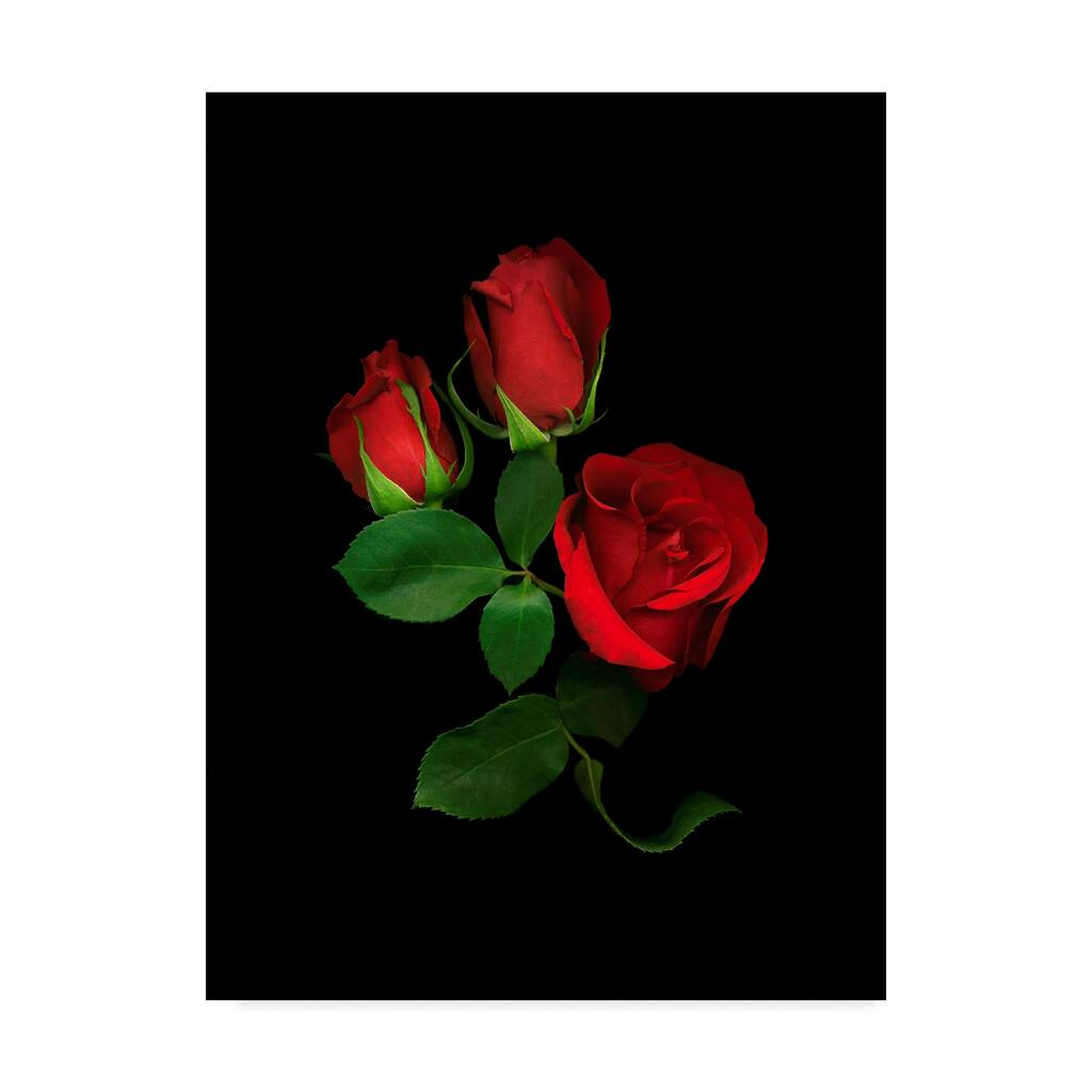 Susan S. Barmon 'Red Roses' Canvas Art