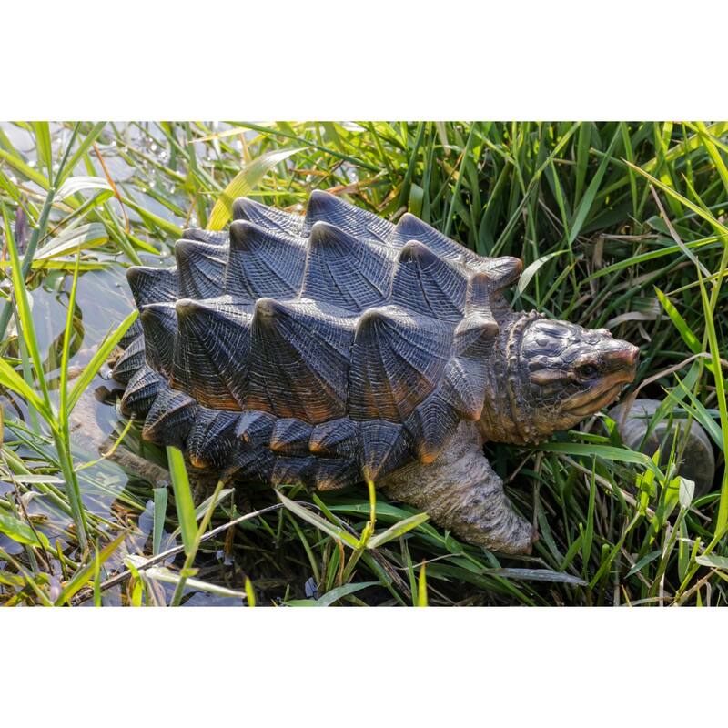 10.5" Snapping Turtle Outdoor Garden Statue