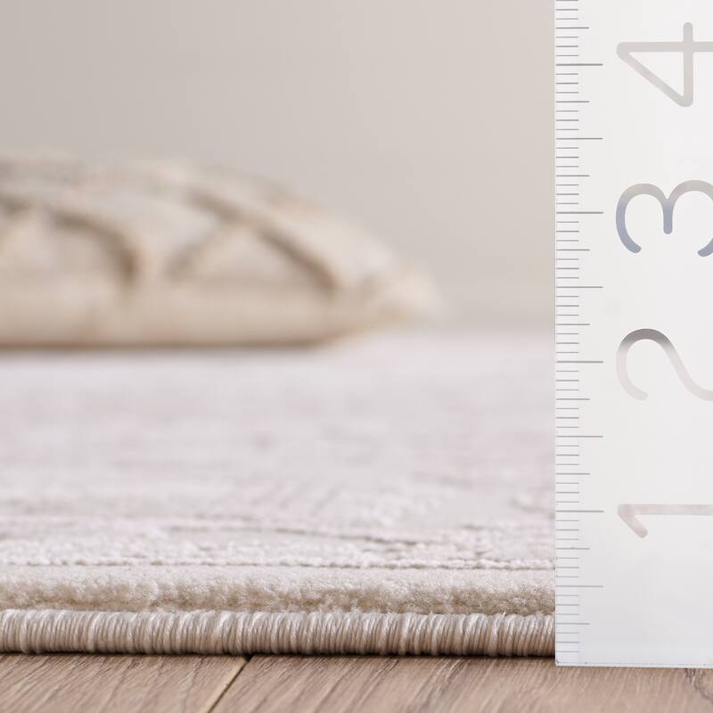 SAFAVIEH Reflection Eulalie Modern Oriental Rug