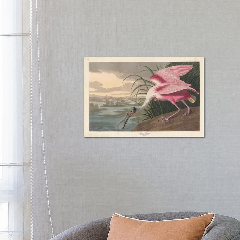 iCanvas "Roseate Spoonbill, 1836" by John James Audubon Canvas Print - 18x26x1.5