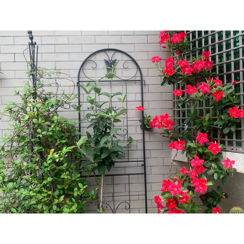 Metal Garden Trellis, 2 Pack Metal Trellis for Climbing Plants, Indoor/Outdoor Plant Trellis, Lawn Garden Fence Decor Screen