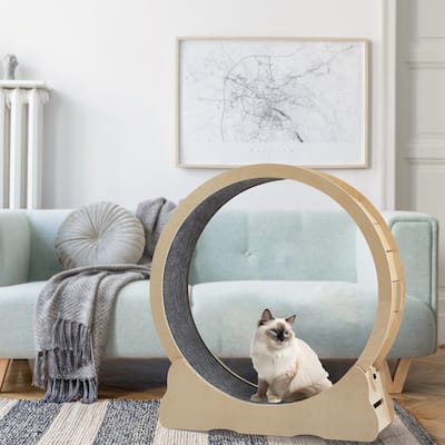 Indoor Cat Treadmill with Carpeted Track for Cats, Safe Cat Exercise Wheel with Secure Latch