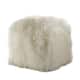 Option Ivory