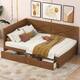 Option Brown